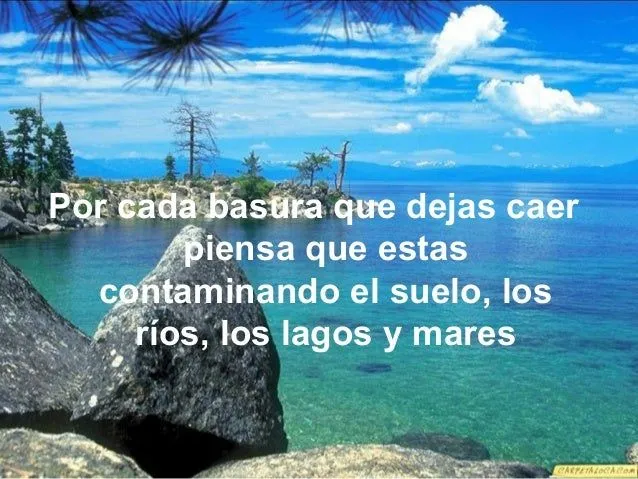 frases-de-reciclaje-13-638.jpg ...