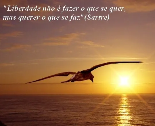 Frases para Reflexão