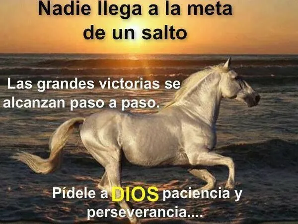 Frases para la Reflexión. | Libros y Frases de Autoayuda ... Frases para la Reflexión. | Libros y Frases de Autoayuda ...