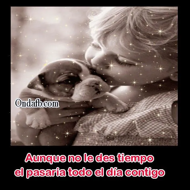 Frases de reflexionar de los animales para compartir | Flickr ...