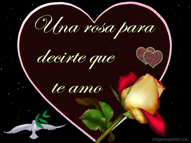 Frases y Reflexiones: Hermosas Rosas con Movimiento y Bellos ...