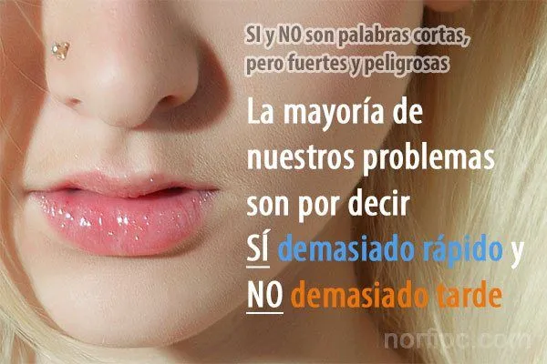 Frases y reflexiones para meditar y comprender lo que vivimos Frases y reflexiones para meditar y comprender lo que vivimos