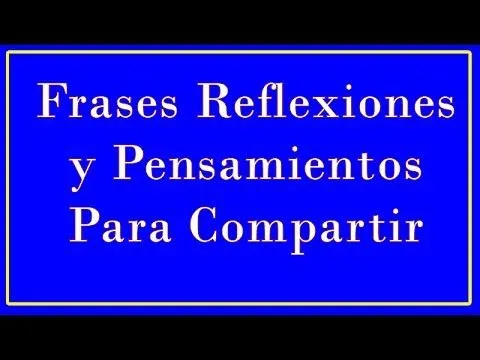 Frases Reflexiones y Pensamientos Para Compartir - YouTube