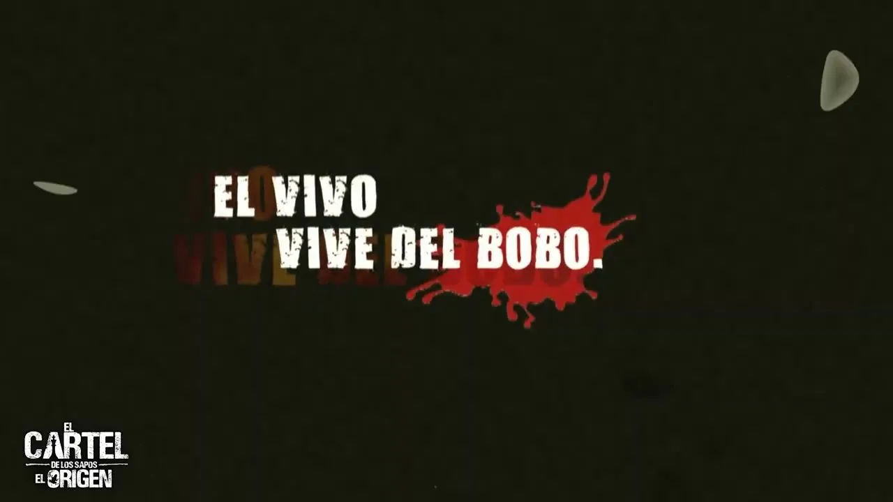 Las FRASES y REFRANES de El Cartel de los SAPOS - YouTube Las FRASES y REFRANES de El Cartel de los SAPOS - YouTube