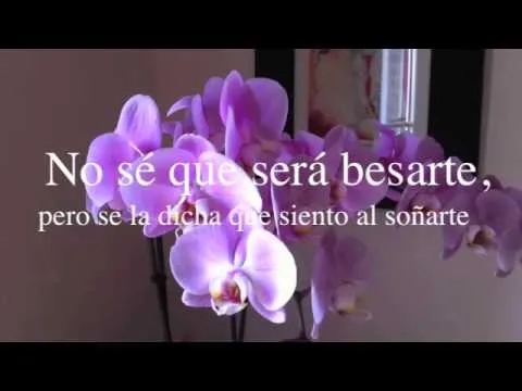 Frases Romanticas com música