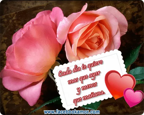 Frases con rosas para para amor facebook Imagenes bonitas para ...