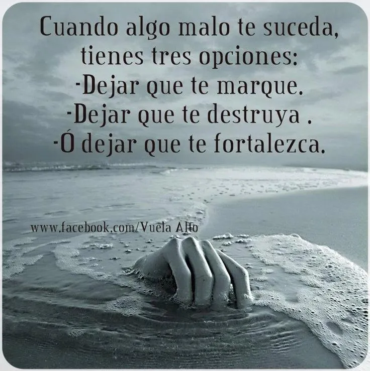 frases | Sabiduria | Pinterest frases | Sabiduria | Pinterest