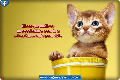 Imágenes con frases de ternura ~ Imagenes de amor con frases para ... Imágenes con frases de ternura ~ Imagenes de amor con frases para ...