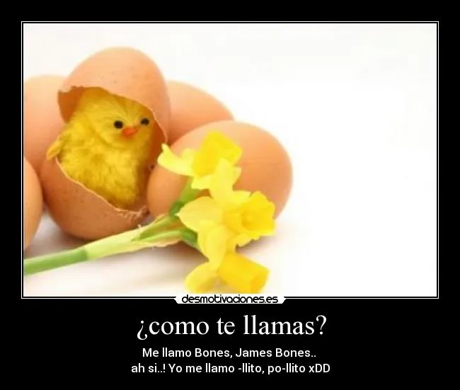 Chistes tiernos de pollitos - Imagui