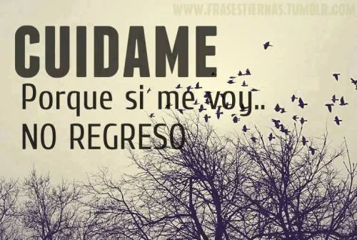 frases tiernas tumblr - IMG MLP