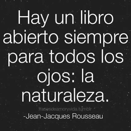 Frases De Todo Tipo - frases alentadoras - Community - Google+