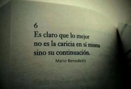 Frases De Tumblr