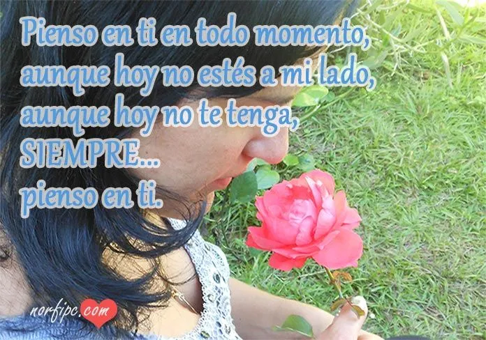 Frases y versos para el Día del Amor
