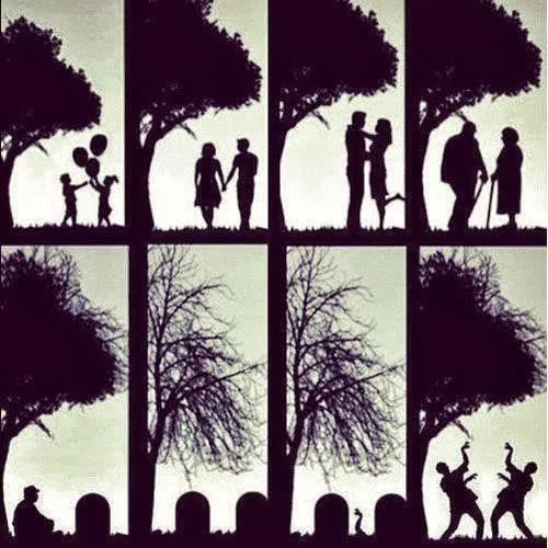 Frases de la vida: Si te amo, que sea hasta morir y si muero, que ...