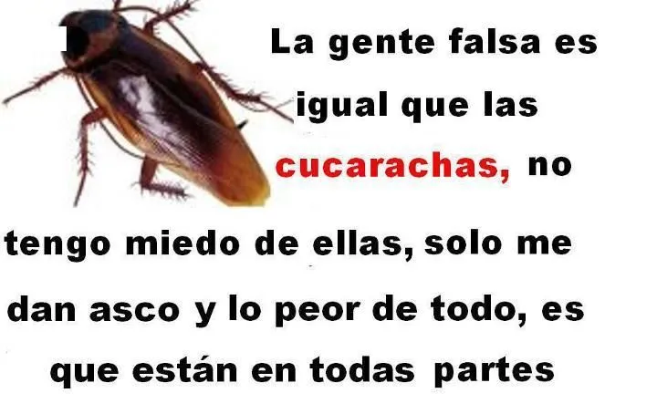 Frases De viejas estupidas | ... frases estupidas para facebook ... Frases De viejas estupidas | ... frases estupidas para facebook ...