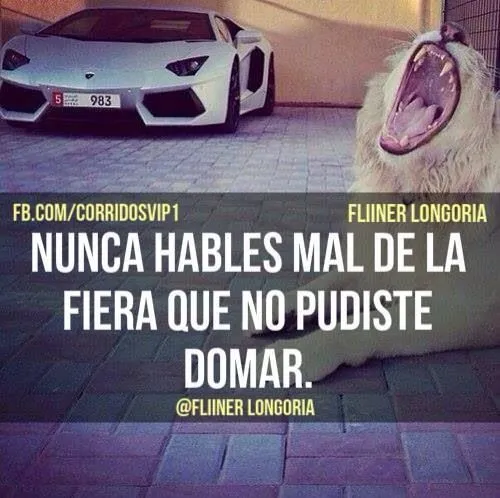 Frases vip | cabronaas.&.borrachaas | Pinterest | Frases Frases vip | cabronaas.&.borrachaas | Pinterest | Frases