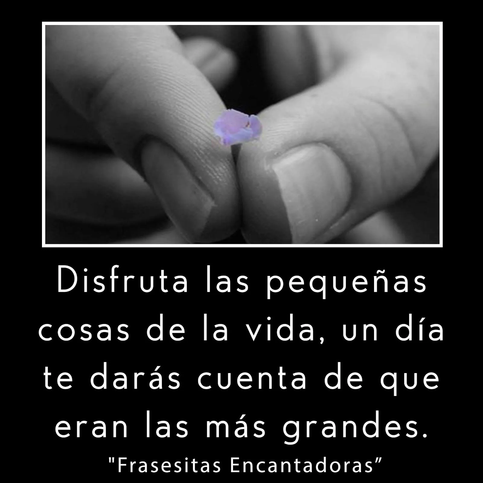 Frasesitas Encantadoras: Frases para Reflexionar sobre ...