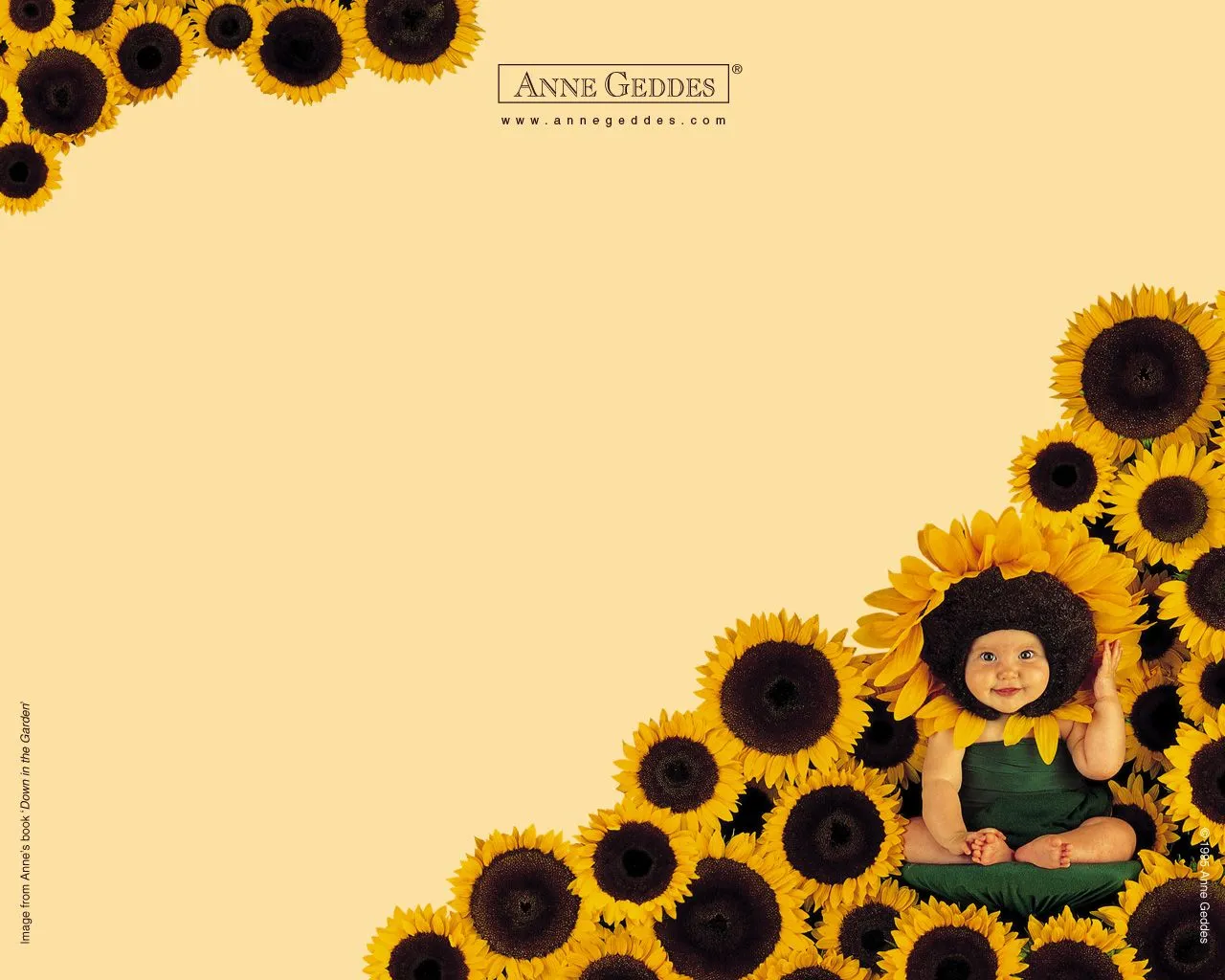 Free Anne Geddes Wallpaper | coolstyle wallpapers.com