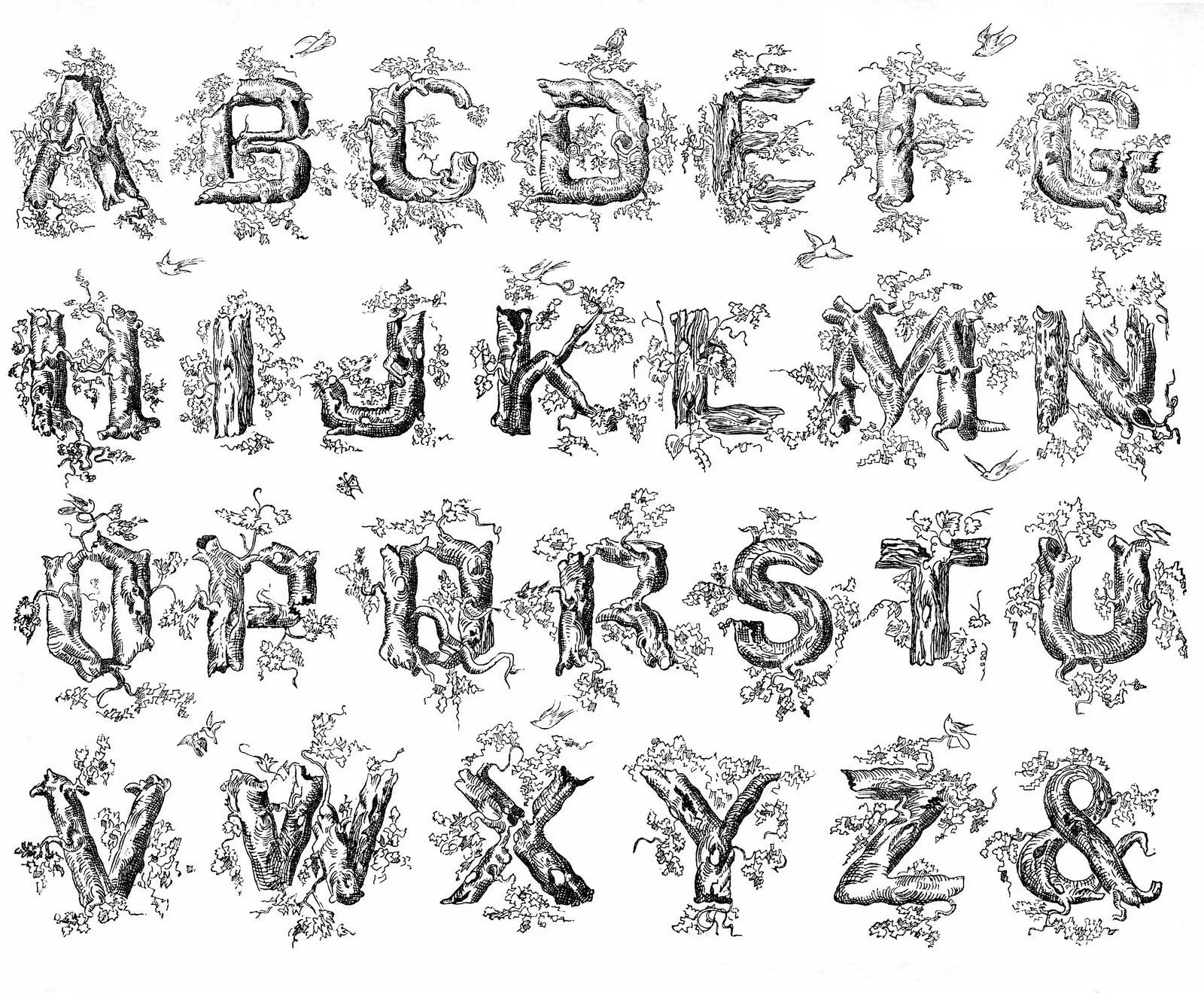 Free Antique Clip Art - Spencerian Alphabet - The Graphics Fairy Free Antique Clip Art - Spencerian Alphabet - The Graphics Fairy
