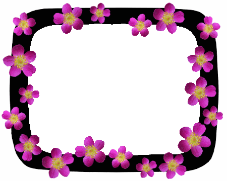 Free Borders For Microsoft Word - ClipArt Best Free Borders For Microsoft Word - ClipArt Best