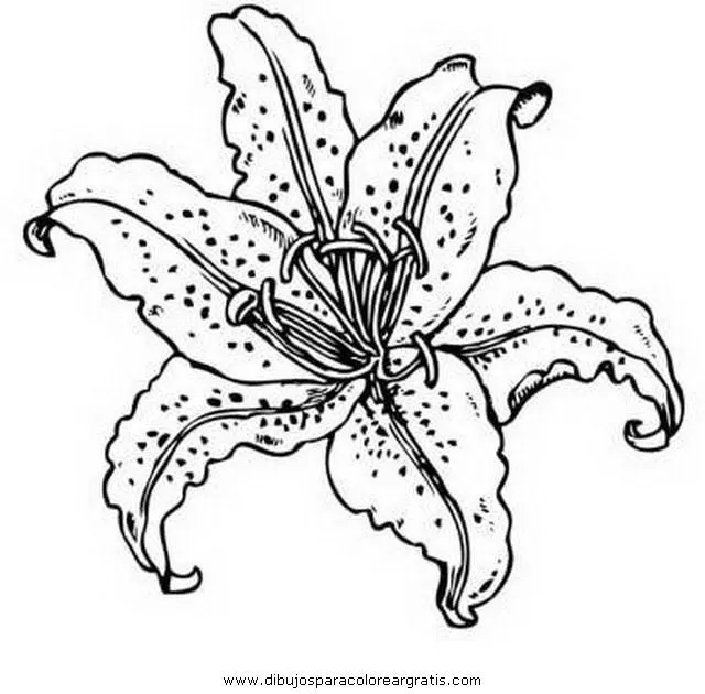 Free coloring pages of halo 3 para lirios
