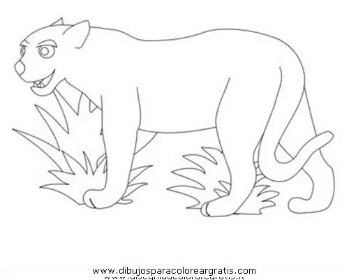 Free coloring pages of puma imágenes