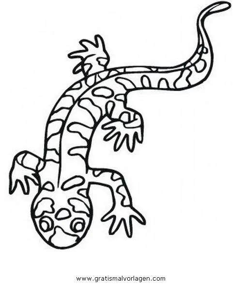 Free coloring pages of salamandras para colorear Free coloring pages of salamandras para colorear