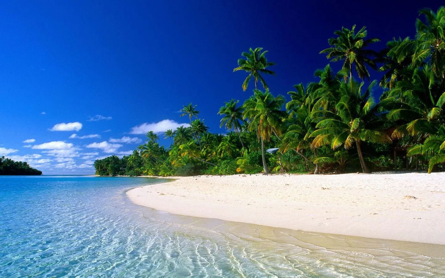 FREE HEADER TEMPLATES: 9 desktop wallpapers “Tropical beaches ...
