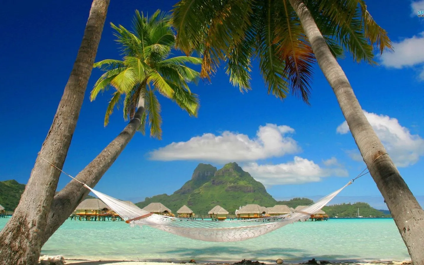 FREE HEADER TEMPLATES: 9 desktop wallpapers “Tropical beaches ...