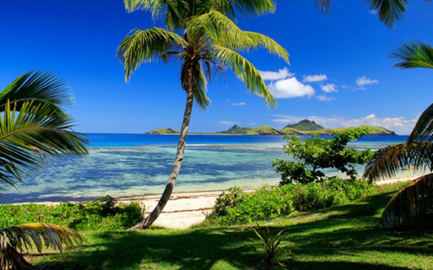 FREE HEADER TEMPLATES: 9 desktop wallpapers “Tropical beaches ...