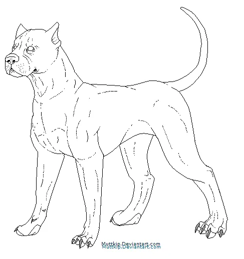 Free Pit Bull Makeable by Muttkip on DeviantArt