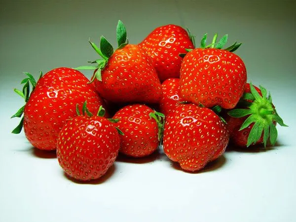 La Fresa Propiedades y Caracteristicas - Taringa!