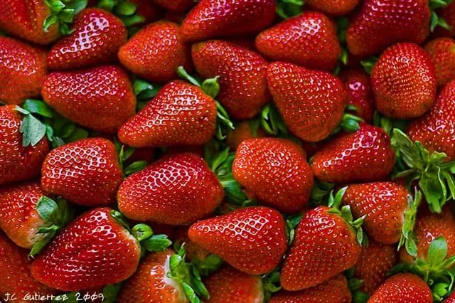 fresas | En Clave de Niños