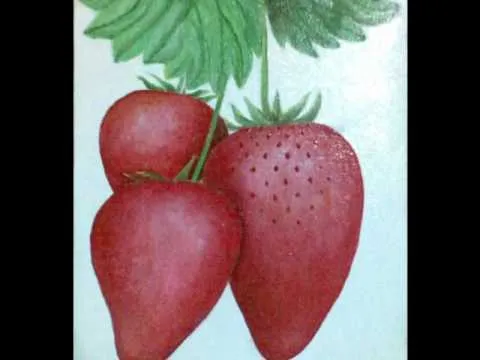 Las Fresas de Oropeza - YouTube