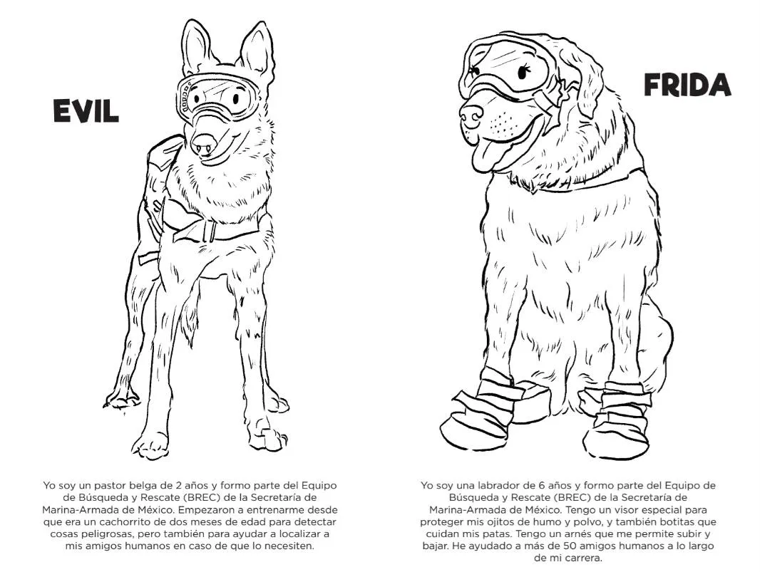 Frida y otros perros rescatistas, en libro infantil libre para colorear | Paredro Frida y otros perros rescatistas, en libro infantil libre para colorear | Paredro