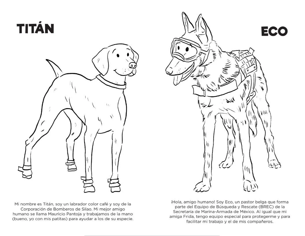 Frida y otros perros rescatistas, en libro infantil libre para colorear | Paredro Frida y otros perros rescatistas, en libro infantil libre para colorear | Paredro