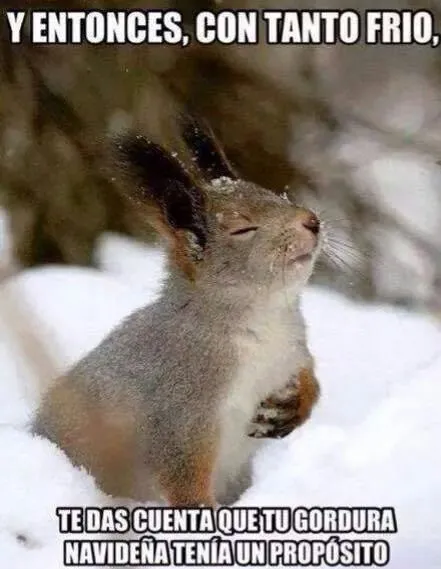 Hace frío! | Frases hermosas | Pinterest