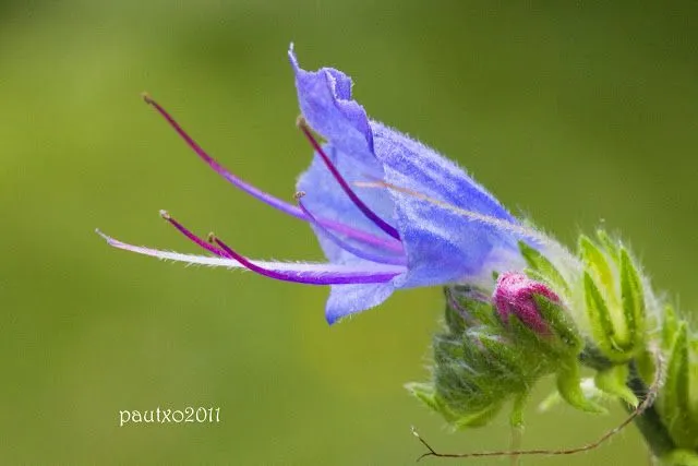 FROTOLAFOTO: agosto 2011