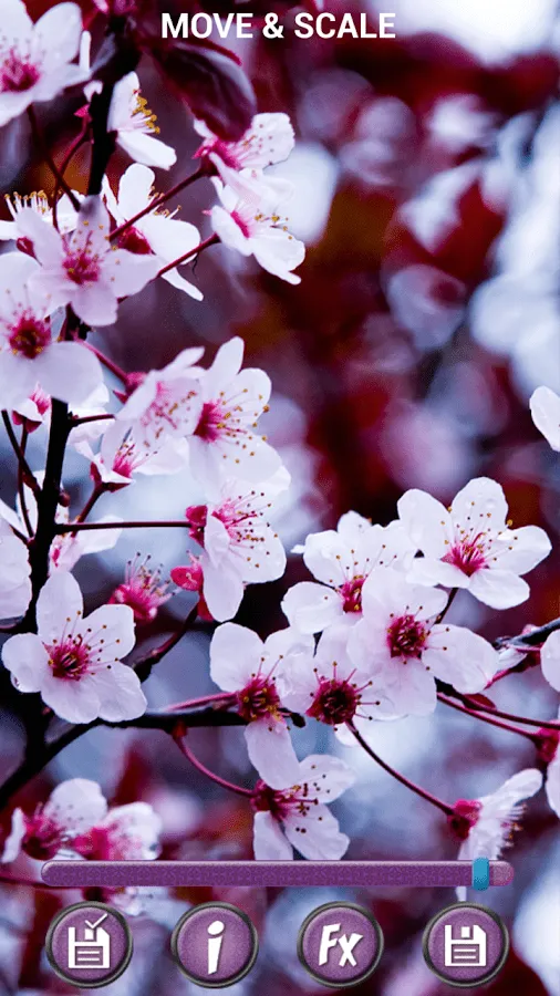 Frühling Blumen Hintergrund 3D - Android-Apps auf Google Play Frühling Blumen Hintergrund 3D - Android-Apps auf Google Play