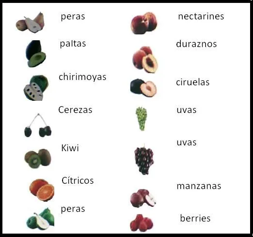 Una fruta por la o - Imagui
