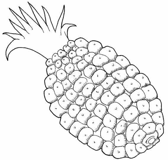 Fruta: Piña para colorear ~ Dibujos para Colorear Infantil