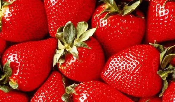 fruta de temporada Archives - Recetín