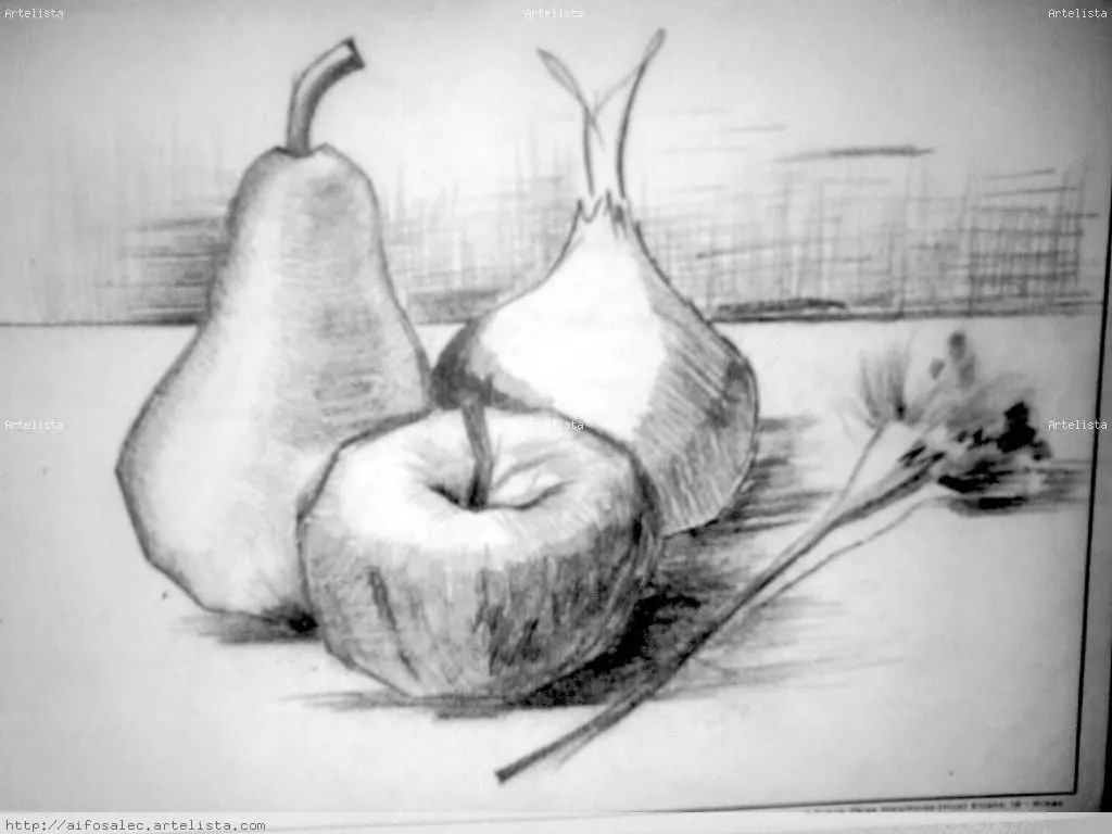 frutas y clavel Sofía Cela Echebarría - Artelista. frutas y clavel Sofía Cela Echebarría - Artelista.
