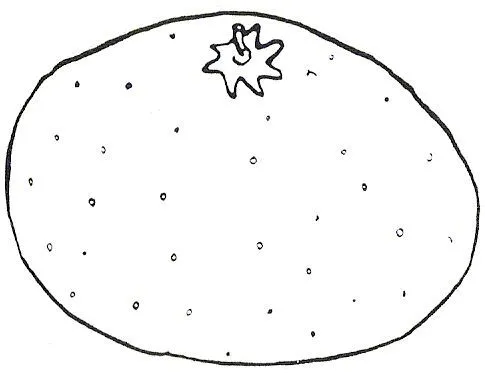 FRUTAS Y FRUTOS SECOS PARA COLOREAR