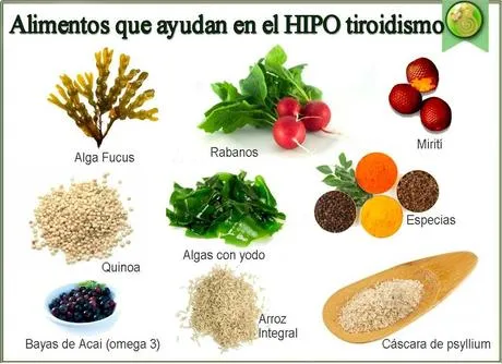 Dieta para Personas con Hipotiroidismo - Paperblog Dieta para Personas con Hipotiroidismo - Paperblog
