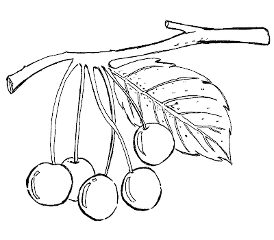 Frutas para imprimir e colorir. Desenho de fruta, risco de fruta Frutas para imprimir e colorir. Desenho de fruta, risco de fruta