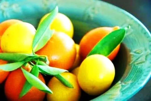 Frutas de invierno (V): Kumquat y limonquat, los cítricos enanos ... Frutas de invierno (V): Kumquat y limonquat, los cítricos enanos ...