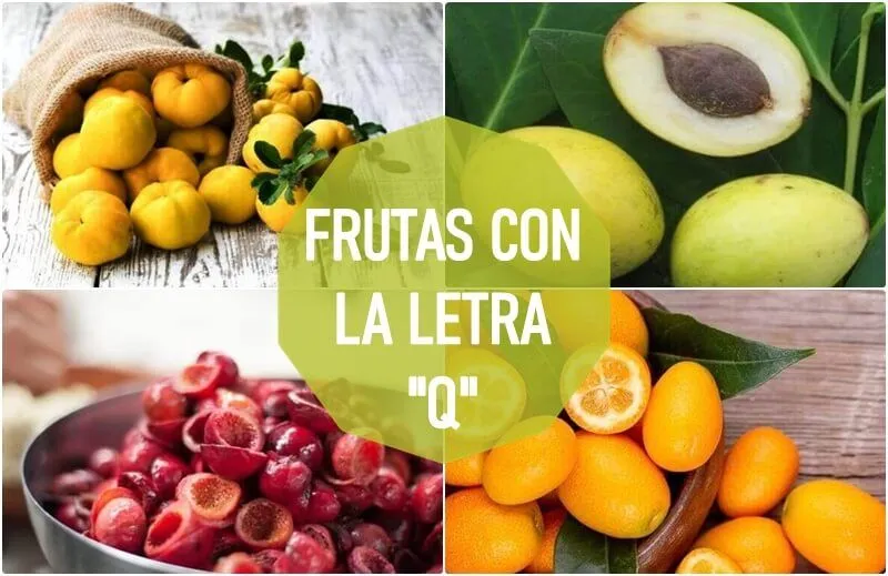 FRUTAS CON LA FRUTAS CON LA