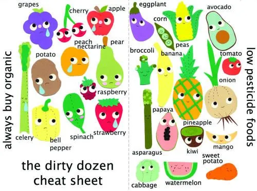 Todas las frutas y verduras en inglés y español - Imagui Todas las frutas y verduras en inglés y español - Imagui