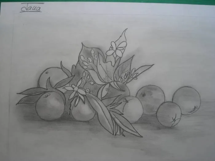 fruteros JANA VALTIERRA CASTRO - Artelista. fruteros JANA VALTIERRA CASTRO - Artelista.